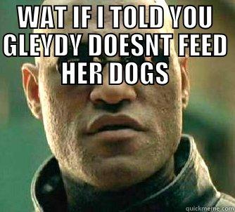 GLeydys meme - WAT IF I TOLD YOU GLEYDY DOESNT FEED HER DOGS  Matrix Morpheus