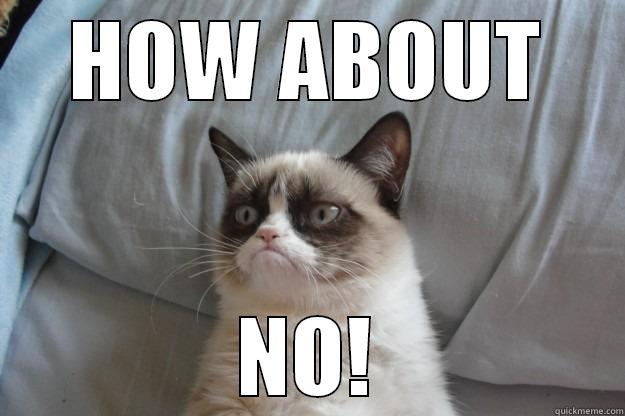 HOW ABOUT NO! Grumpy Cat