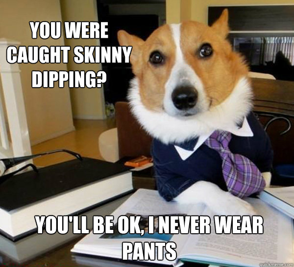 You were caught skinny dipping? You'll be ok, i never wear pants - You were caught skinny dipping? You'll be ok, i never wear pants  Lawyer Dog