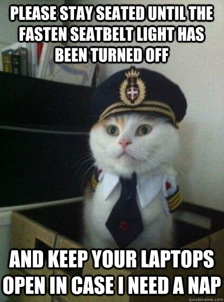 Please stay seated until the fasten seatbelt light has been turned off and keep your laptops open in case I need a nap  Captain kitteh