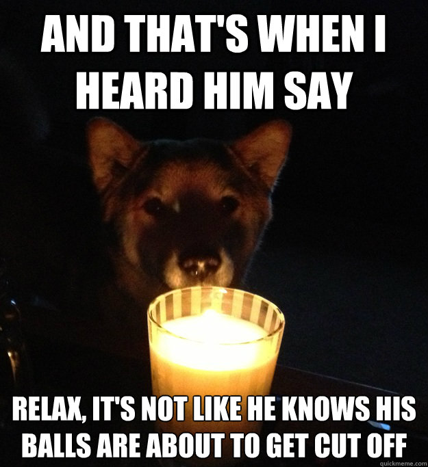 AND THAT'S WHEN I HEARD HIM SAY RELAX, IT'S NOT LIKE HE KNOWS HIS BALLS ARE ABOUT TO GET CUT OFF  Scary Story Dog