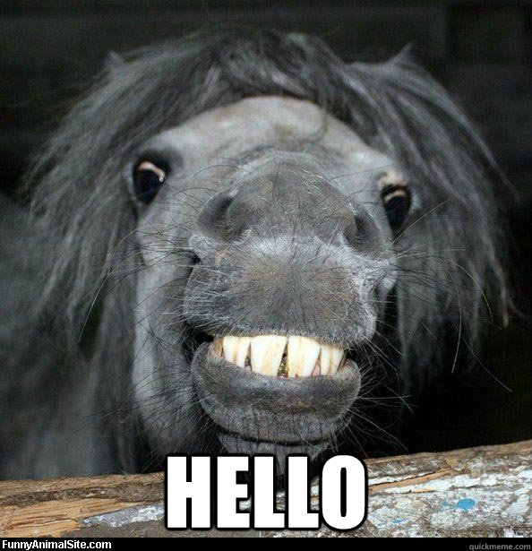 hello  hello