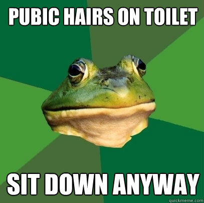 Pubic hairs on toilet Sit down anyway  Foul Bachelor Frog