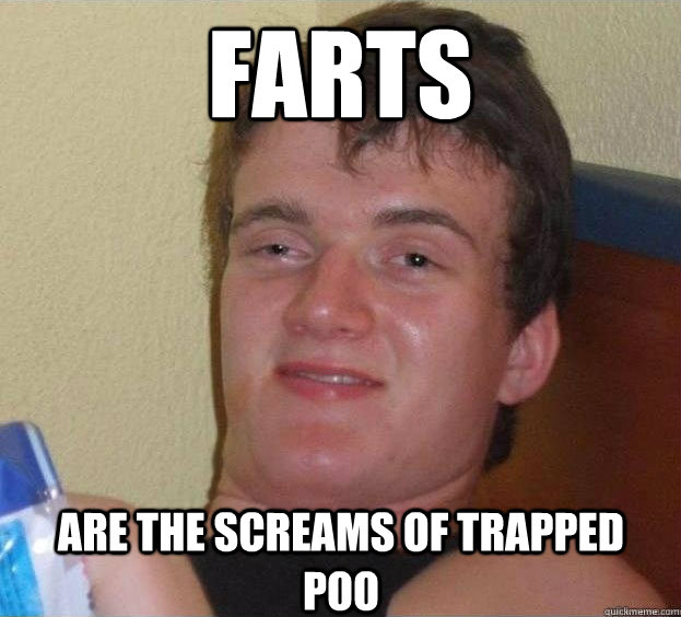 Farts Are the screams of trapped poo   The High Guy