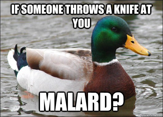 If someone throws a knife at you MALARD?  Actual Advice Mallard