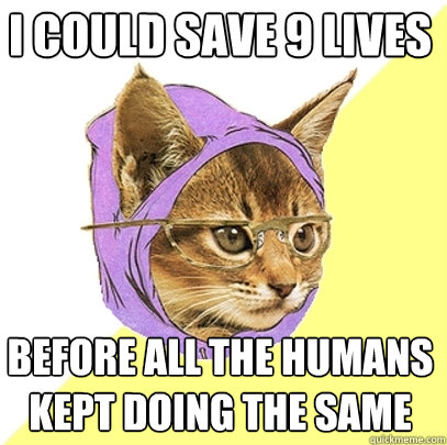 I could save 9 lives before all the humans kept doing the same  Hipster Kitty