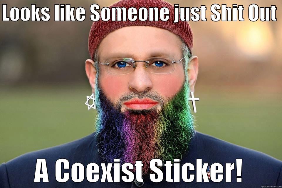 LOOKS LIKE SOMEONE JUST SHIT OUT  A COEXIST STICKER! Misc