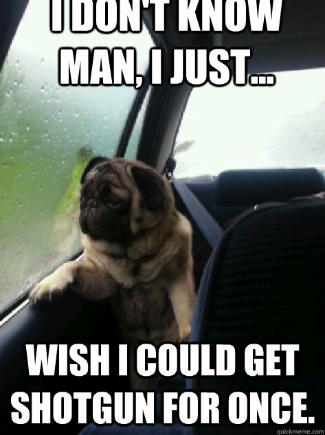 i don't know man, i just... wish i could get shotgun for once.  Introspective Pug