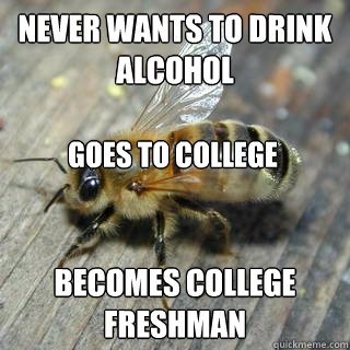 Never wants to drink alcohol Becomes college freshman Goes to college - Never wants to drink alcohol Becomes college freshman Goes to college  Hivemind bee