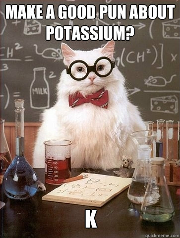 Make a good pun about Potassium?  k - Make a good pun about Potassium?  k  Chemistry Cat