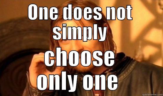 ONE DOES NOT SIMPLY CHOOSE ONLY ONE  Boromir