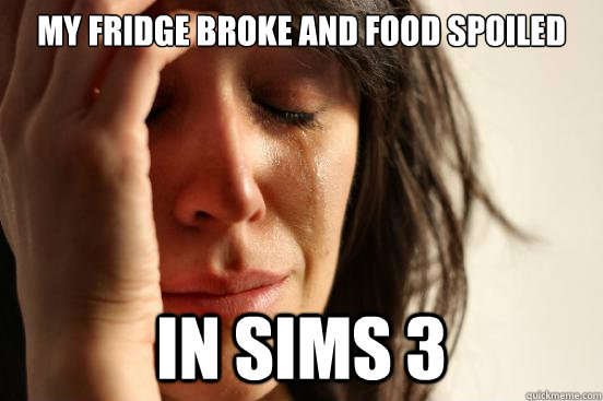 My fridge broke and food spoiled in sims 3  First World Problems