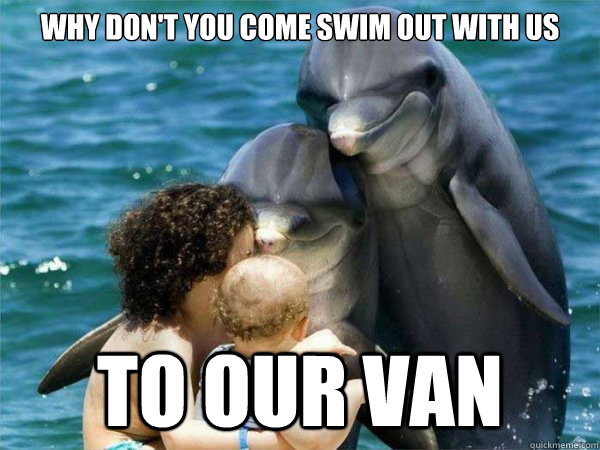 Why don't you come swim out with us to our van  Malevolent Dolphins