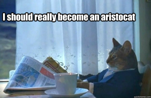 I should really become an aristocat  Sophisticated Cat is broke