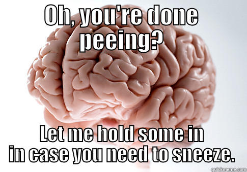 OH, YOU'RE DONE PEEING? LET ME HOLD SOME IN IN CASE YOU NEED TO SNEEZE. Scumbag Brain