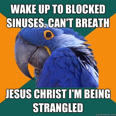 wake up to blocked sinuses, can't breath jesus christ i'm being strangled  Paranoid Parrot