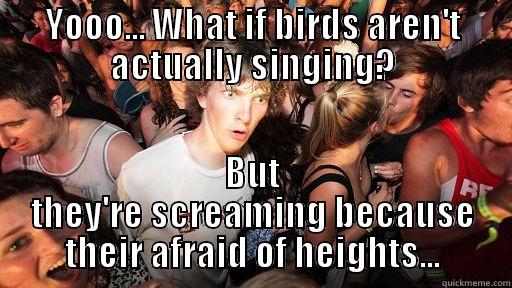 YOOO... WHAT IF BIRDS AREN'T ACTUALLY SINGING? BUT THEY'RE SCREAMING BECAUSE THEIR AFRAID OF HEIGHTS... Sudden Clarity Clarence
