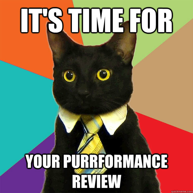 It's time for your purrformance review  Business Cat