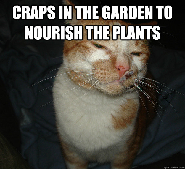 craps in the garden to nourish the plants   Good Guy Cat