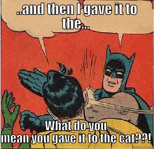What was in there? -  ..AND THEN I GAVE IT TO THE... WHAT DO YOU MEAN YOU GAVE IT TO THE CAT??! Batman Slapping Robin