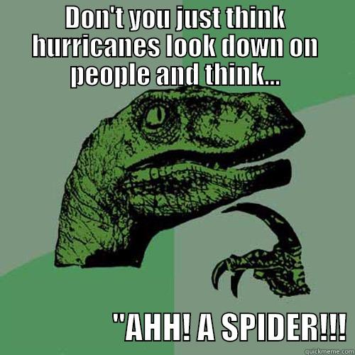 DON'T YOU JUST THINK HURRICANES LOOK DOWN ON PEOPLE AND THINK...                    
