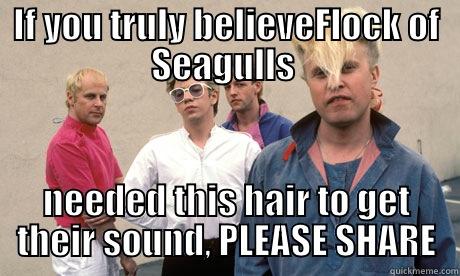 IF YOU TRULY BELIEVEFLOCK OF SEAGULLS  NEEDED THIS HAIR TO GET THEIR SOUND, PLEASE SHARE Misc