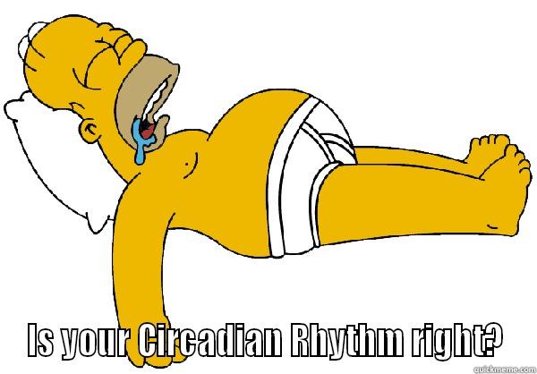 sleepy time -  IS YOUR CIRCADIAN RHYTHM RIGHT? Misc