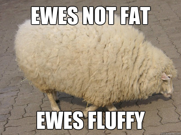 EWES NOT FAT Ewes fluffy - EWES NOT FAT Ewes fluffy  NZ MEMES