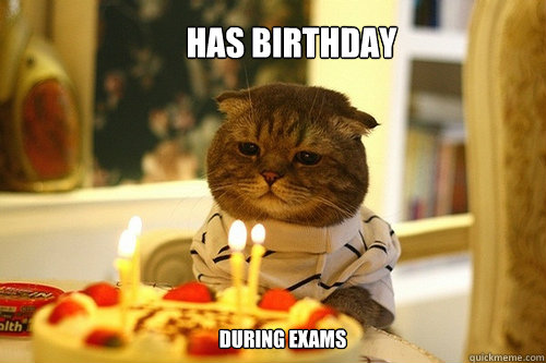 HAS BIRTHDAY DURING EXAMS - HAS BIRTHDAY DURING EXAMS  Misc