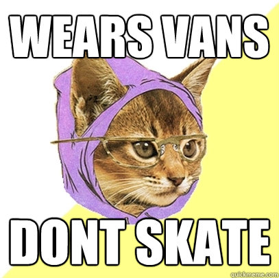 Wears vans dont skate  Hipster Kitty