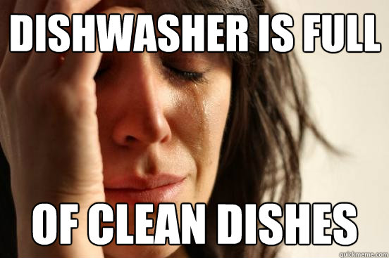Dishwasher is full of clean dishes  First World Problems