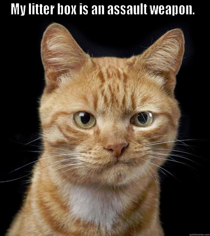 MY LITTER BOX IS AN ASSAULT WEAPON.   Misc