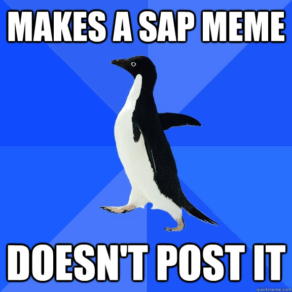 MAkes a Sap meme Doesn't post it - MAkes a Sap meme Doesn't post it  Socially Awkward Penguin