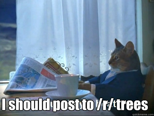  I should post to /r/ trees  Rich cat is rich