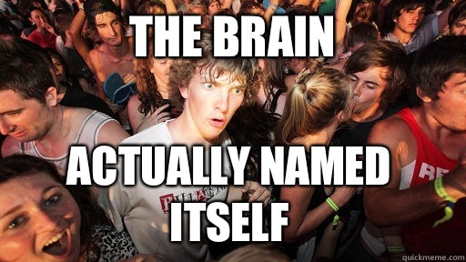 The brain  Actually named itself  Sudden Clarity Clarence