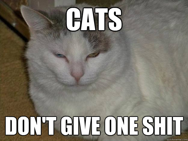 cats don't give one shit - cats don't give one shit  Misc