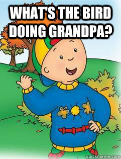 what's the bird doing grandpa?   Swag Like Caillou