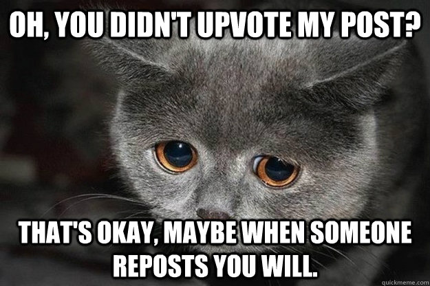 Oh, you didn't upvote my post? That's okay, maybe when someone reposts you will. - Oh, you didn't upvote my post? That's okay, maybe when someone reposts you will.  Sad Reddit Cat