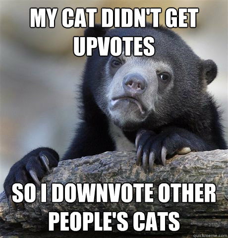 My cat didn't get upvotes So i downvote other people's cats  Confession Bear