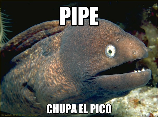 Pipe Chupa el pico - Pipe Chupa el pico  Bad Joke Eel