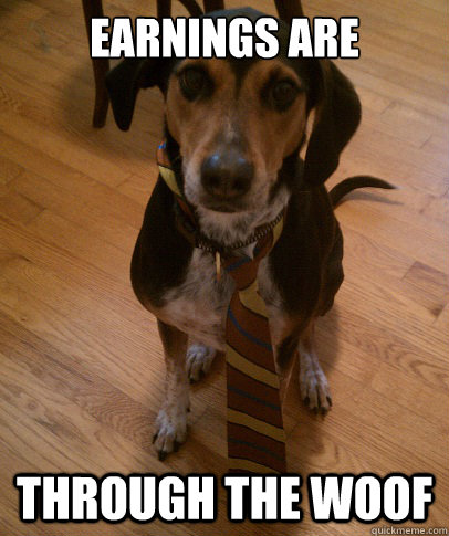 Earnings are through the woof - Earnings are through the woof  Business Dog