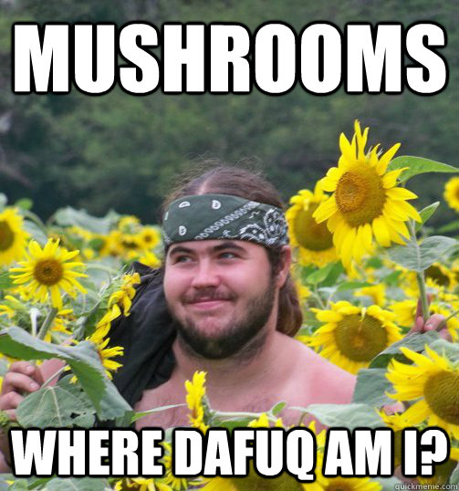 MUSHROOMS WHERE DAFUQ AM I?  Confused Hippie