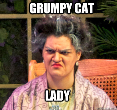 Grumpy Cat Lady  