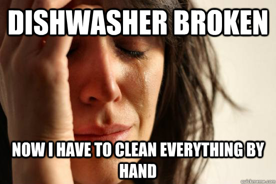 dishwasher broken now i have to clean everything by hand  First World Problems