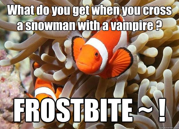 What do you get when you cross a snowman with a vampire ? FROSTBITE ~ !  clownfish comic