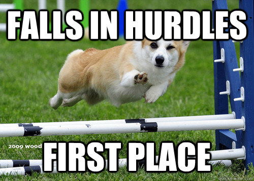 Falls in hurdles first place - Falls in hurdles first place  Ridiculously Photogenic Dog