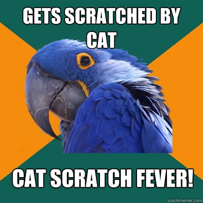 Gets scratched by cat CAT SCRATCH FEVER!  Paranoid Parrot