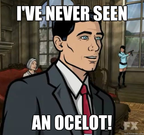 I've Never Seen An Ocelot!  