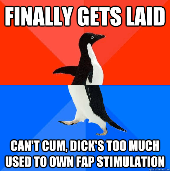 finally gets laid can't cum, dick's too much used to own fap stimulation  Socially Awesome Awkward Penguin