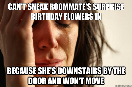 Can't sneak roommate's surprise birthday flowers in Because she's downstairs by the door and won't move  First World Problems